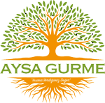 aysa trade logo